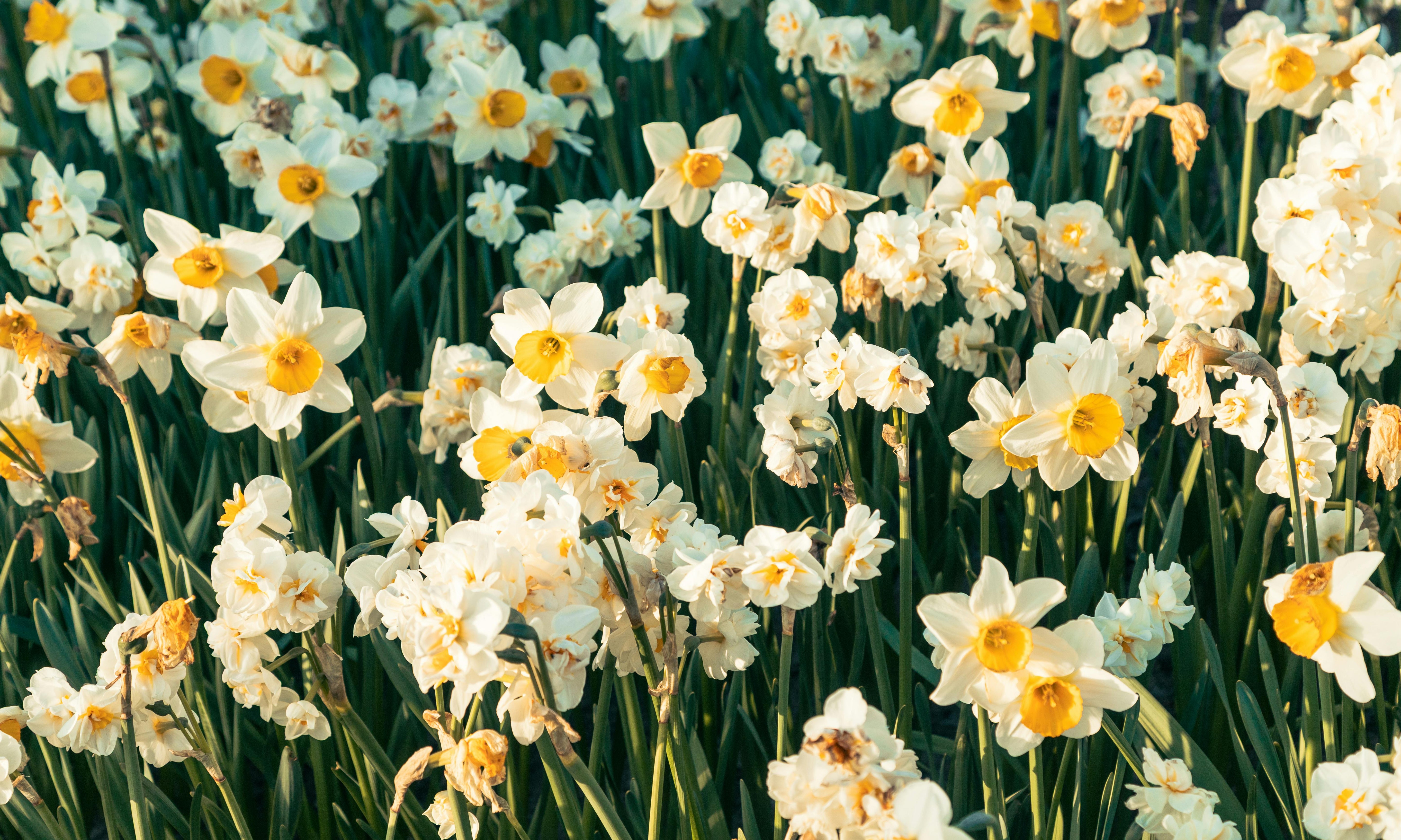 May Journal Prompts: Refresh Your Mind