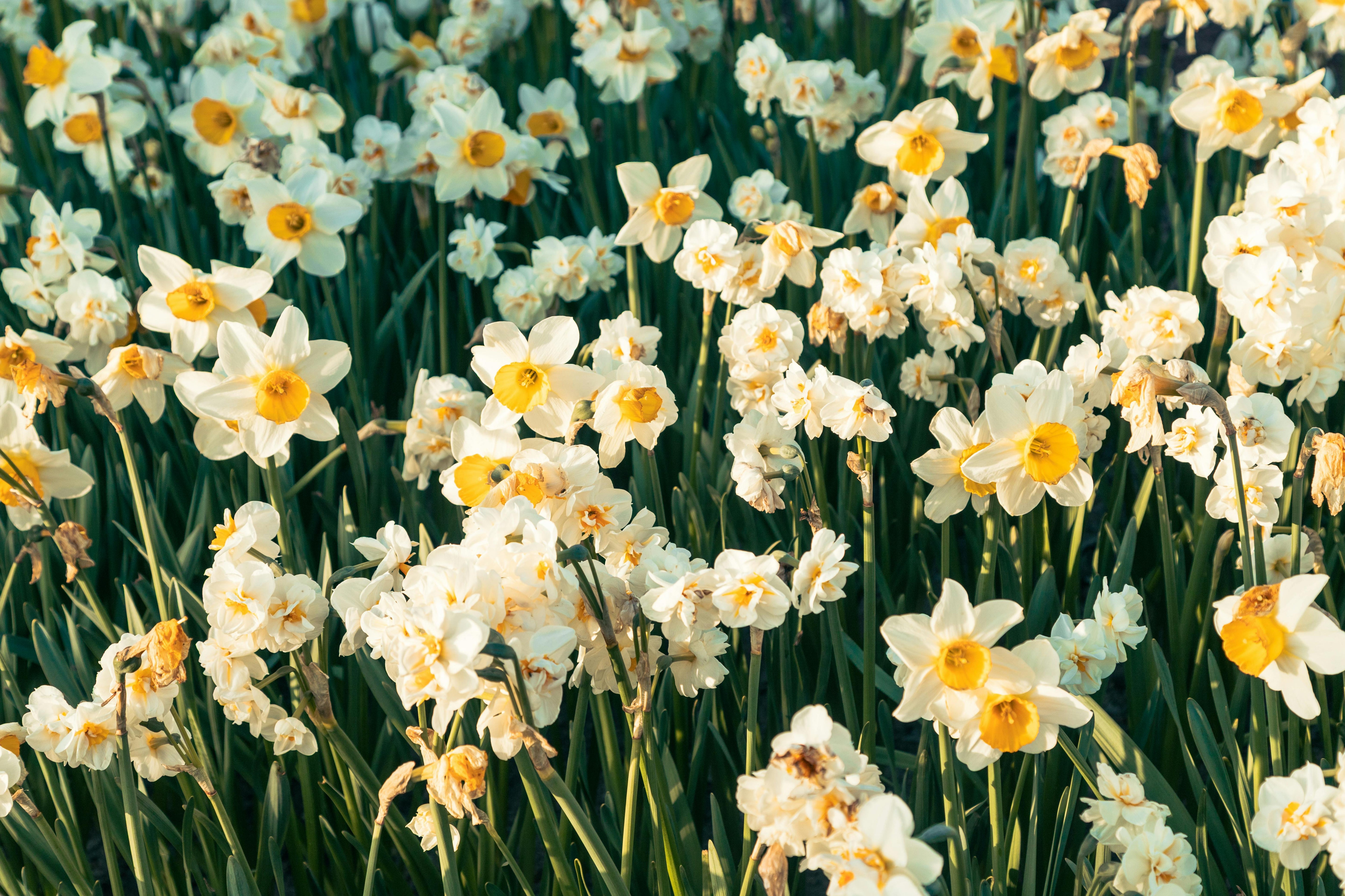 May Journal Prompts: Refresh Your Mind