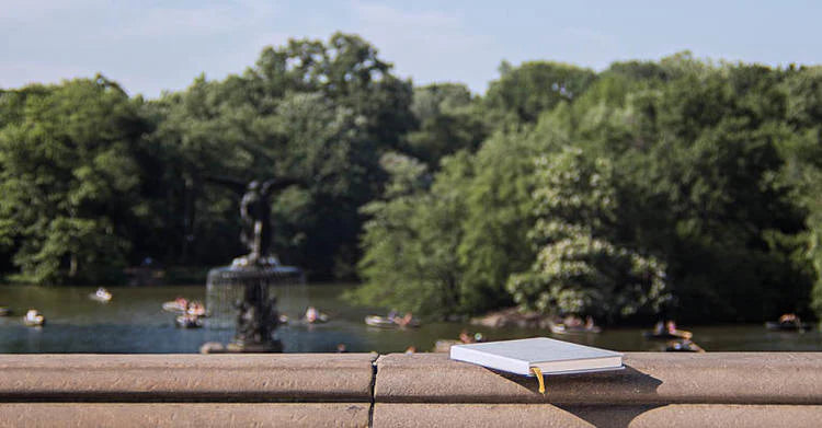 Announcing Buy a Book, Plant a Tree