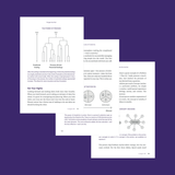 The Laws of Creativity